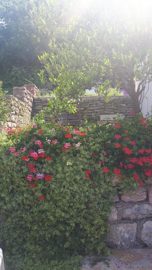 Vila Lucice Petrovac Dış mekan fotoğraf