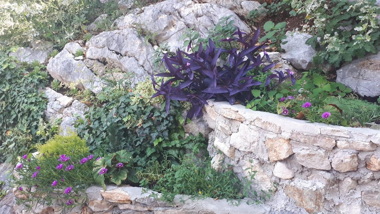 Vila Lucice Petrovac Dış mekan fotoğraf